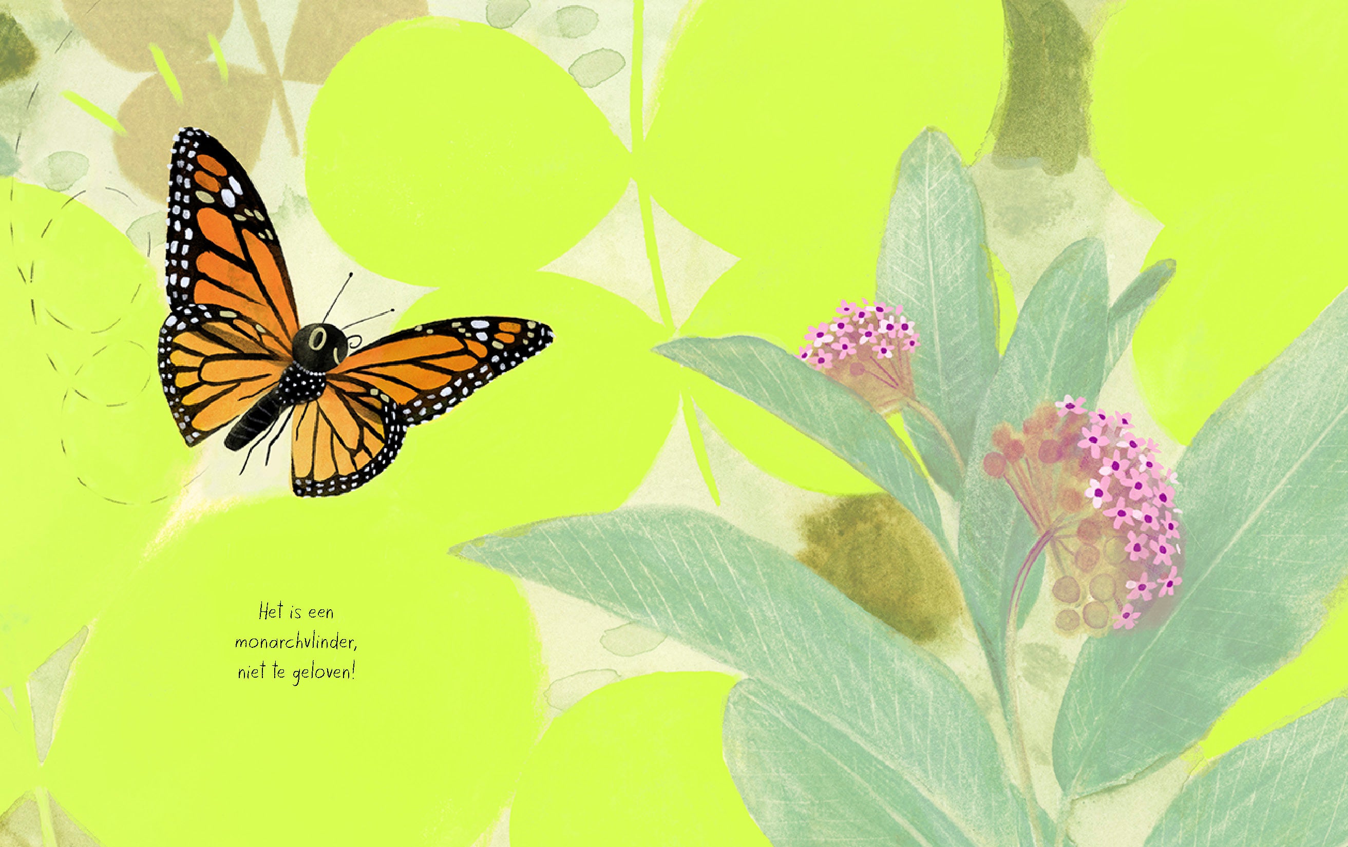 De monarchvlinder