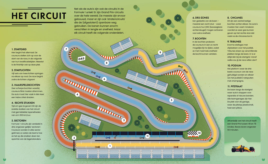 Formule race: alles wat je wilt weten over Formule 1!