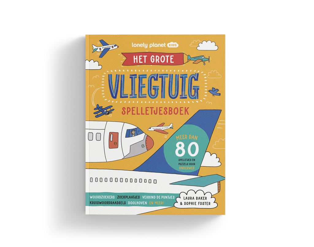 Het grote vliegtuig-spelletjesboek