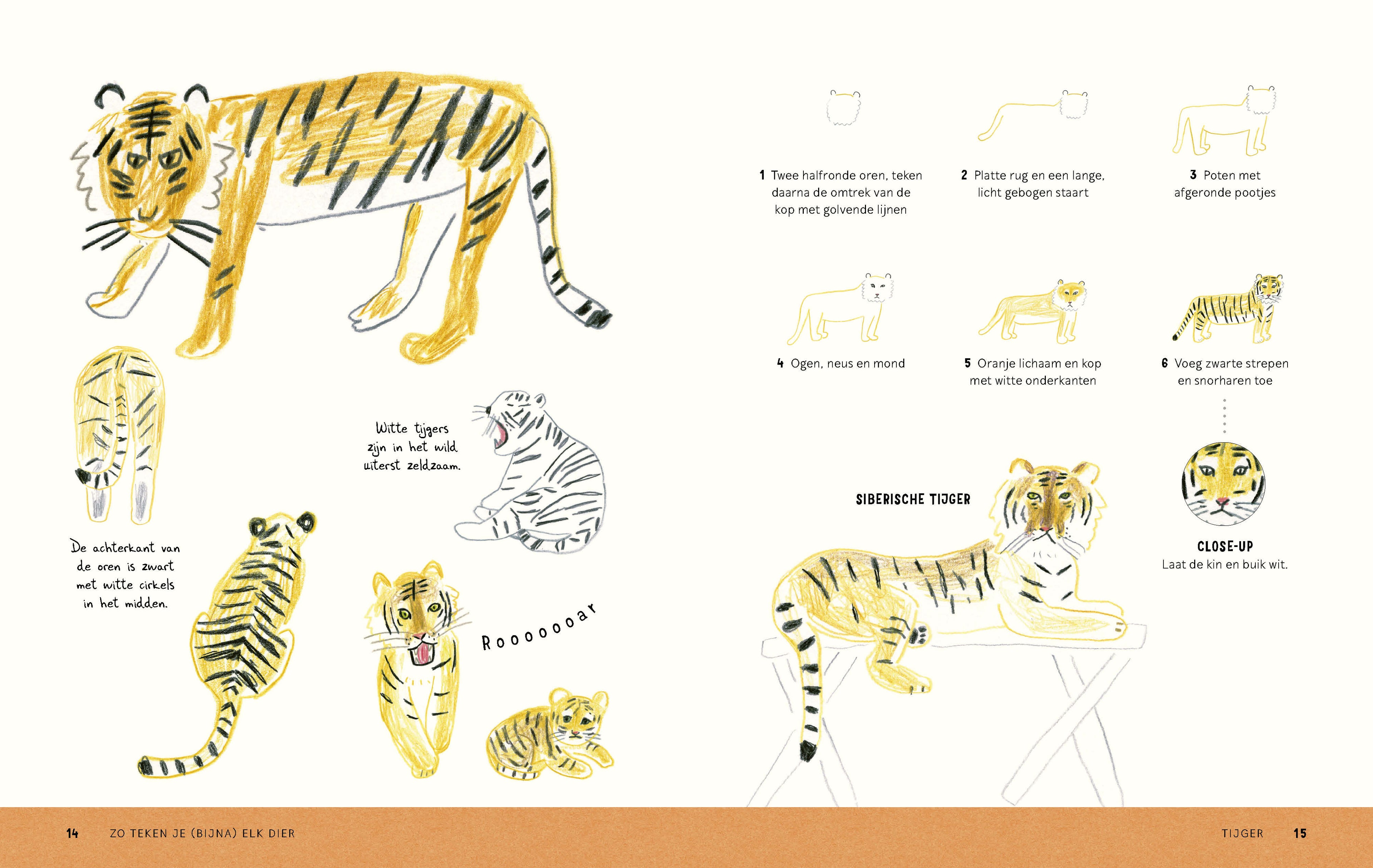 Zo teken je (bijna) elk dier