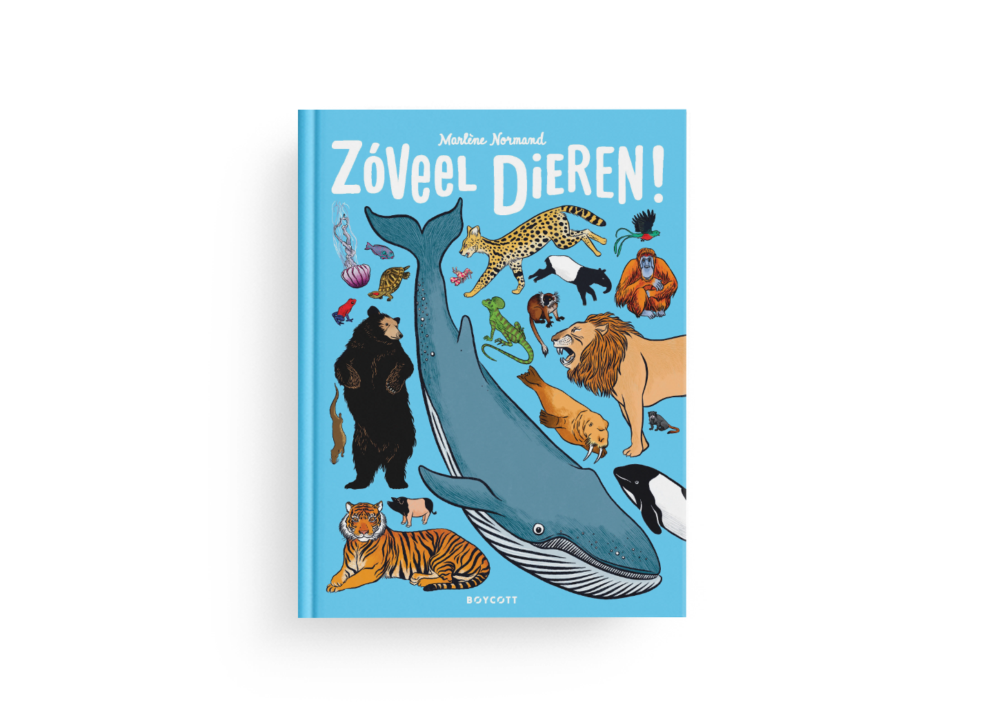 Zoveel dieren!